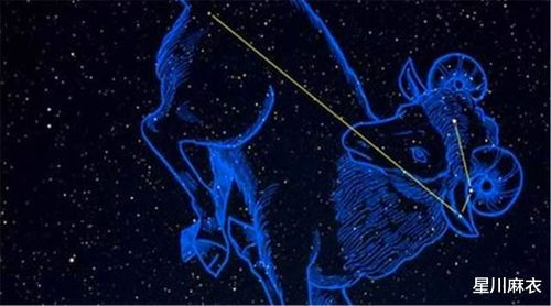 7月究竟隐藏着哪些星座秘密？揭秘巨蟹座在七月的独特魅力