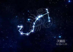 天蝎座的神秘魅力，揭秘天蝎与12星座的配对奥秘！