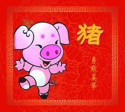 属猪1971年出生者今日运势揭秘，好运降临还是挑战重重？