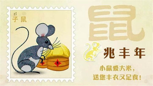 生肖鼠今日运势揭秘，运势起伏不定，如何把握关键？