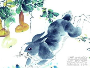 75年兔人感情运势揭秘，是桃花盛开还是孤独求败？