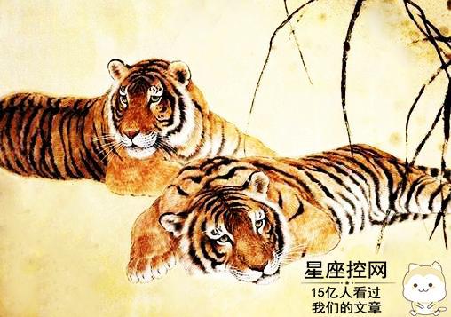 属虎的今天感情运势，是好是坏，揭秘今日运势之谜！