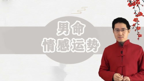壬子日柱男命，感情运势之谜，究竟何去何从？