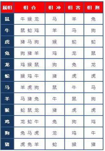 倪海厦男女八字合婚方法揭秘，究竟如何判断八字相合？
