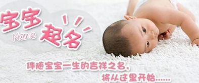 临时生的鸡宝宝取名难题，创意与寓意如何兼顾？