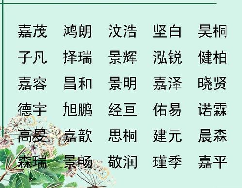 在天堂宝宝取名，如何取一个既好听又寓意美好的名字？