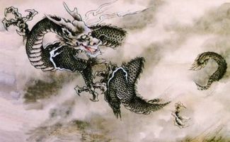 男龙女龙八字合婚，真的如传说般美满吗？