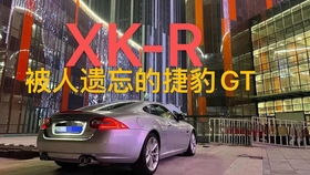 大仙汽车粉丝多少