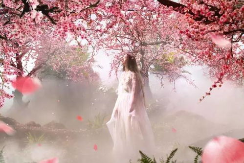 双子女的感情运势，是桃花朵朵还是独守空房？