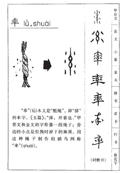 杨姓龙女宝宝取名难题，如何取一个既独特又吉祥的名字？