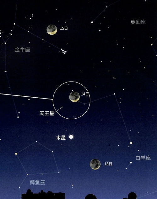金星射手座女性，感情运势的星辰指引，你准备好了吗？