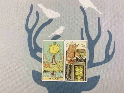 塔罗牌摩羯女近期运势揭秘,运势起伏,如何应对? 塔罗牌摩羯女近期运势揭秘,运势起伏,如何应对?