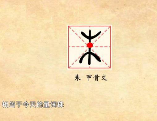 有人姓冷宝宝，这样的姓氏该如何取名呢？