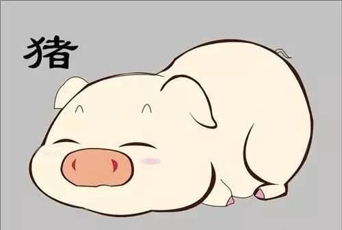 属猪三月感情运势，是甜蜜蜜还是多波折？