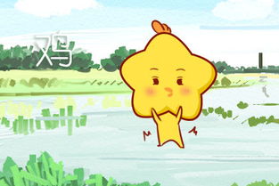 属鸡女今日运势方位揭秘，方位影响下的运势起伏