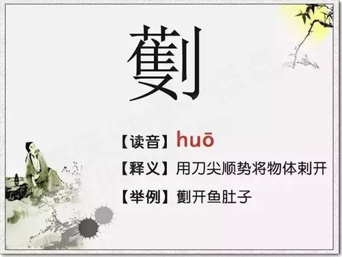 虎宝宝取名，骞字怎么取？传统与创新的完美融合