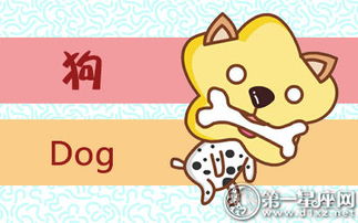 82年属狗近期运势大揭秘，运势如何，吉凶难测？