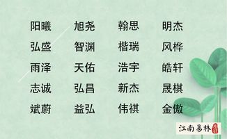 羊宝宝取名，男孩名字怎么取才既吉祥又响亮？