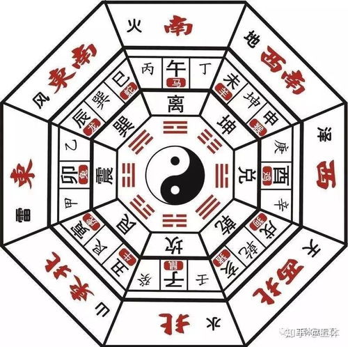 兔年今日财运运势查询，揭秘你的财运走向，是旺还是衰？