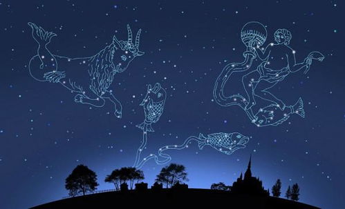 2002年9月22日出生的人是什么星座？揭秘神秘的天蝎座特质