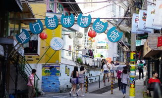 大丰旅游攻略，探寻厦门美食街，你不可错过的味蕾之旅？