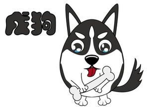 今日生肖狗运势，财运如何？揭秘生肖狗的财运走势！