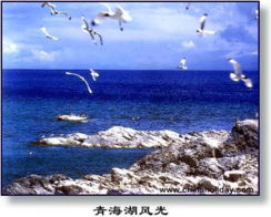 六月份青海湖旅游攻略图揭秘，如何在湖光山色中留下难忘足迹？