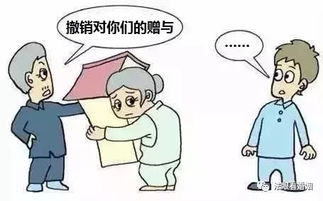 媳妇转移房产怎么办理