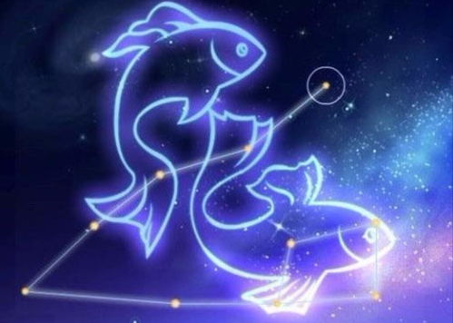 双鱼座今日运势大揭秘，最新明日运势会是怎样的惊喜呢？