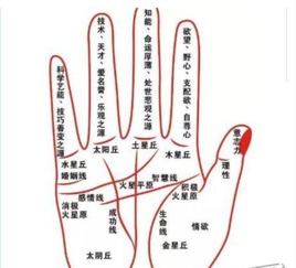 看手相的感情运势，究竟准不准？