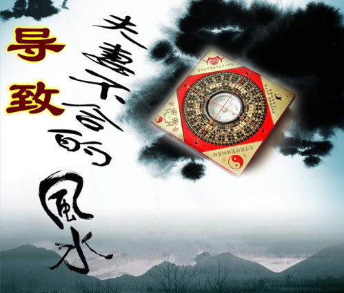 八字龙与虎，婚姻匹配之谜，究竟合不合？