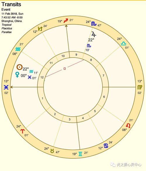 5月20号究竟属于哪个星座？揭秘神秘星盘之谜！