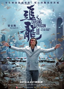 你看过追龙吗？这些类似电影绝对让你热血沸腾！