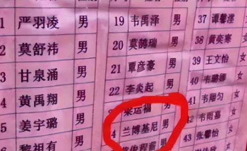 察姓宝宝取名男孩，如何取一个既独特又吉祥的名字？