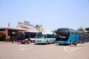 疑问解答厦门北站到达，如何玩转厦门旅游攻略全解析？