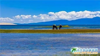 青海五日游,旅游攻略详析,大概需要多少钱? 青海五日游,旅游攻略详析,大概需要多少钱?