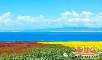 青海湖旺仔一日游攻略，揭秘如何玩转这个高原明珠的完美一天？