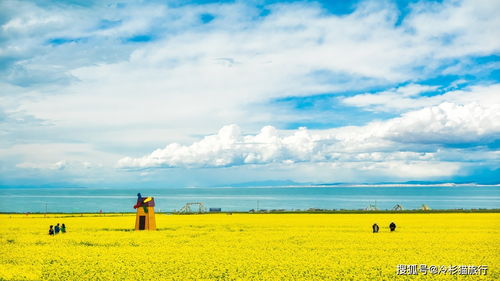 夏日秘境探秘七月份青海湖旅游攻略图，揭秘青海湖夏日旅游全攻略！