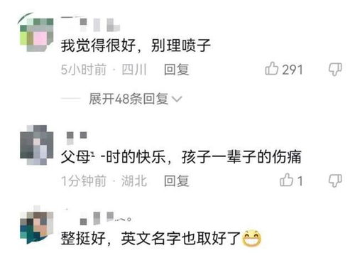 虎男宝宝姓朱，取名难题，如何取一个既有气势又好听的姓名？