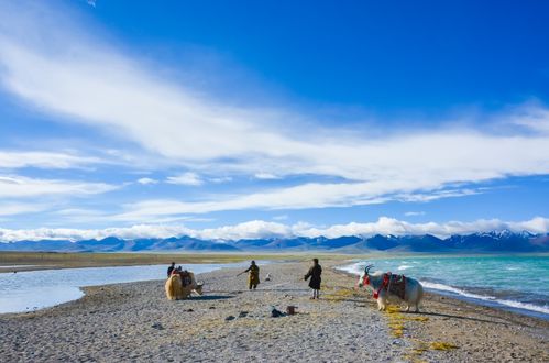 四月中旬青海湖旅游，你准备好了吗？
