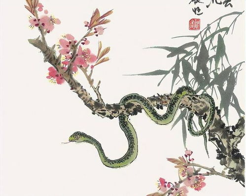 7月属蛇感情运势，运势起伏不定，如何稳抓幸福？