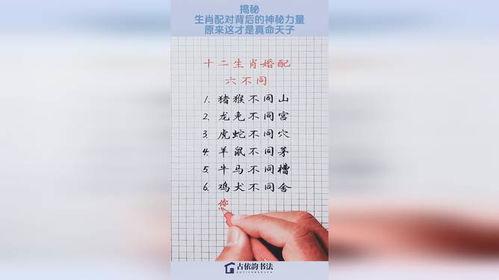 今日生肖运势图片查询，揭秘生肖运势背后的神秘力量！