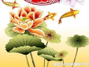 婚后感情运势佳，揭秘哪些属相女性更易收获美满姻缘？