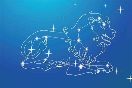 狮子座，新的一年，你的感情运势有何新变化？