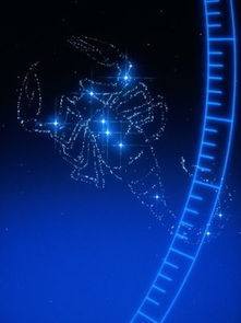 阳历9月20日究竟属于哪个星座？揭秘日期与星座的神秘关联