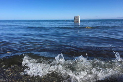 青海湖旅游二日游攻略图,揭秘如何在两日之内尽享湖光山色之美? 青海湖旅游二日游攻略图,揭秘如何在两日之内尽享湖光山色之美?