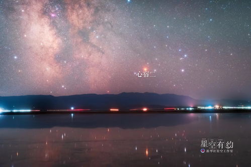 天蝎座的神秘魅力，揭秘那些闪耀星空的天蝎座明星名人