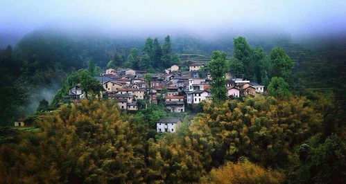 松阳旅游攻略，厦门好玩不止步，这个古镇有何独特魅力？