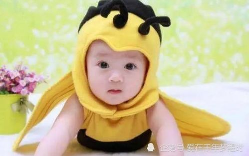 姓刘女龙宝宝取名，如何巧妙融合传统文化与现代审美？