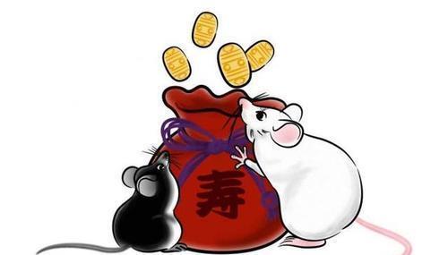 今日亥猪运势揭秘，运势起伏不定，如何把握良机？